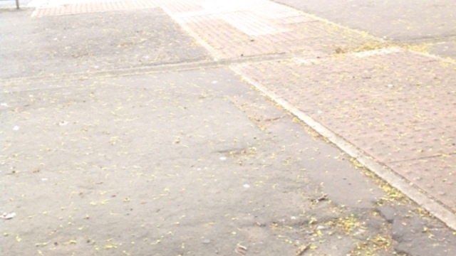 3pm Langside Halls, Glasgow. Public BT Event. With Anas Sarwar. title=