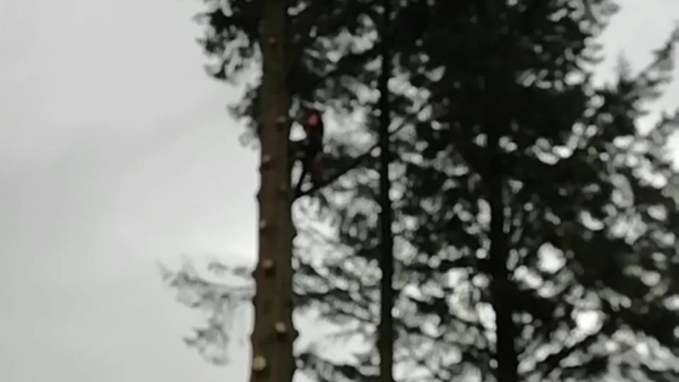 Today where I live title=